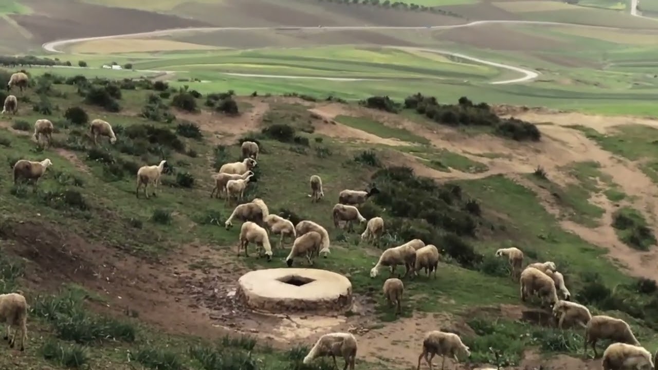 SIDI KACEM TO MOULAY IDRIS ZERHOUNE