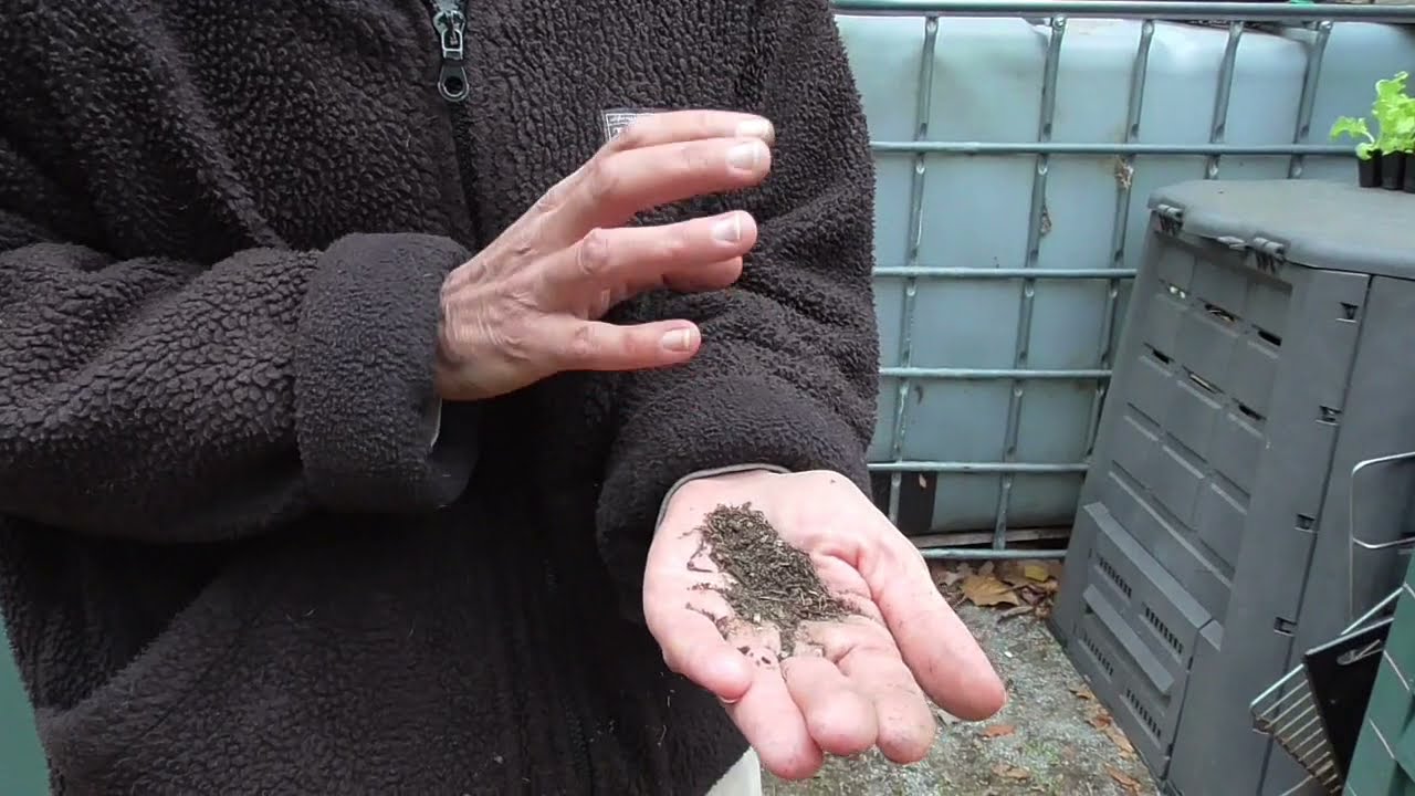 Q+A compost