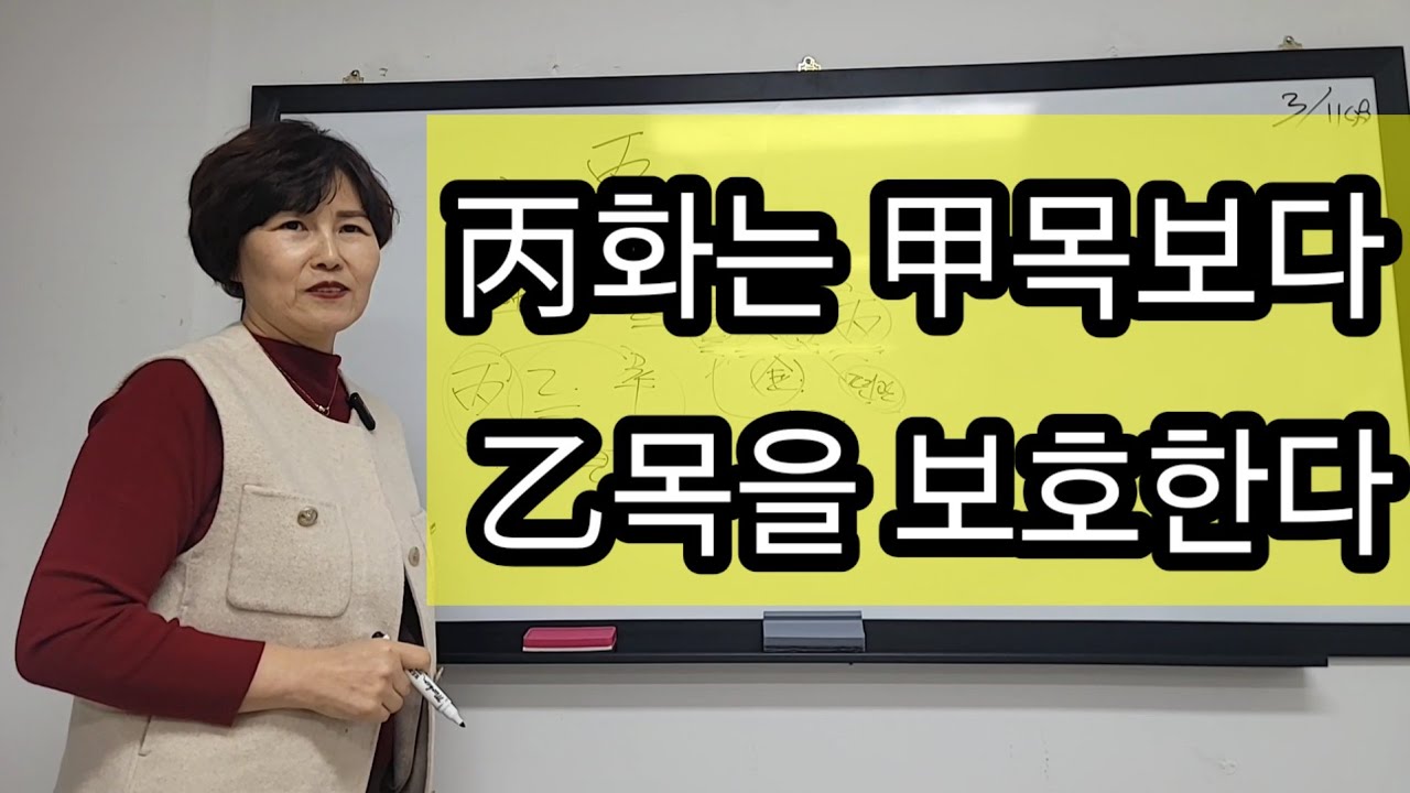 천간丙火) 인간관계와 소통 교화를 담당한다.
