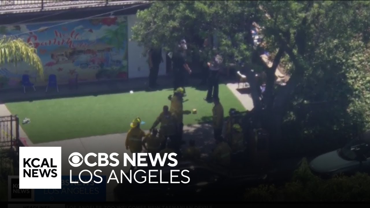 Two people hospitalized after shooting at Granada Hills daycare; police say suspect is in custody