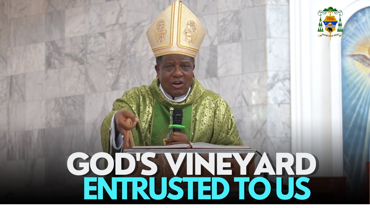GOD's Vineyard Entrusted to Us  |  Bishop Godfrey Igwebuike ONAH | 27th Sunday, Year A