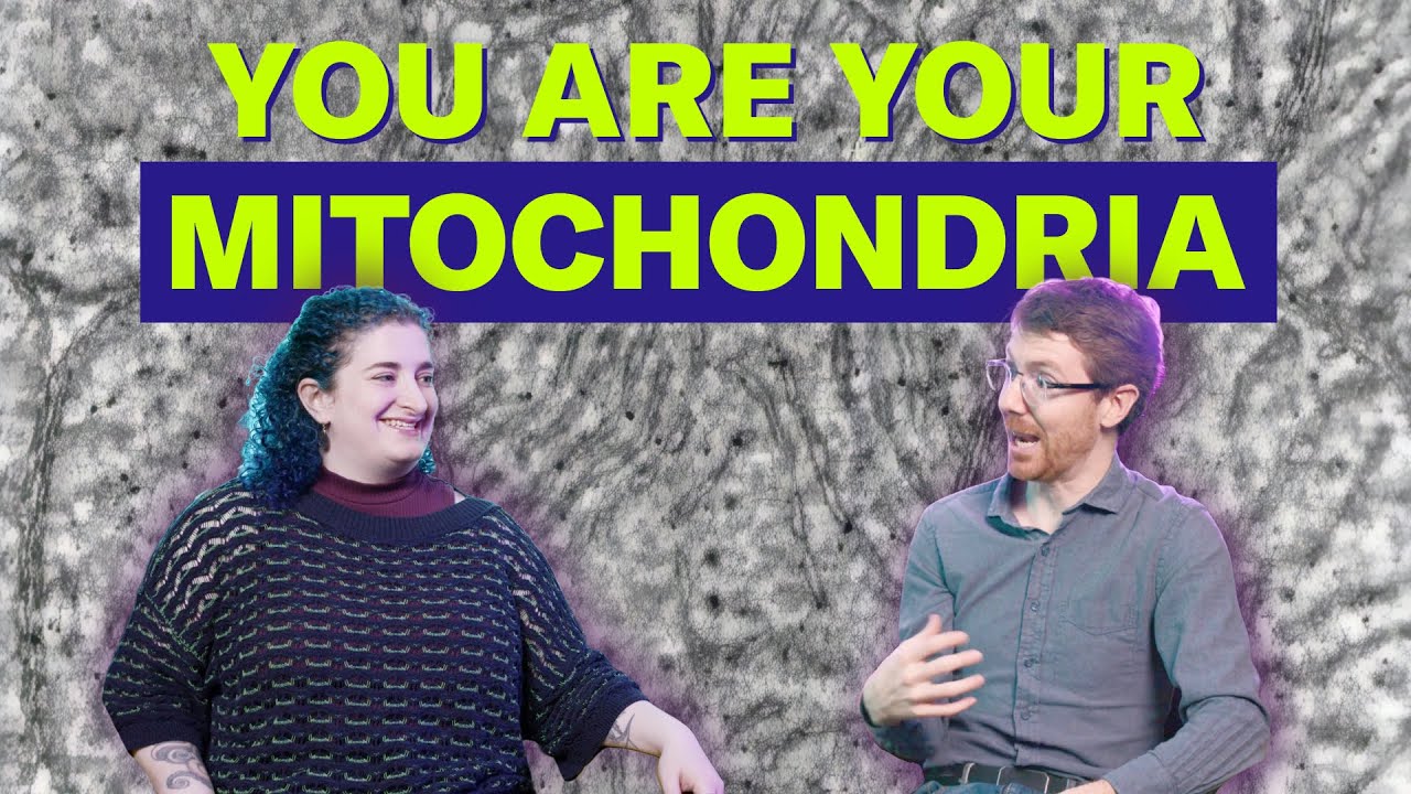 Could mitochondria rewrite the rules of biology? | Science Quickly Video Podcast