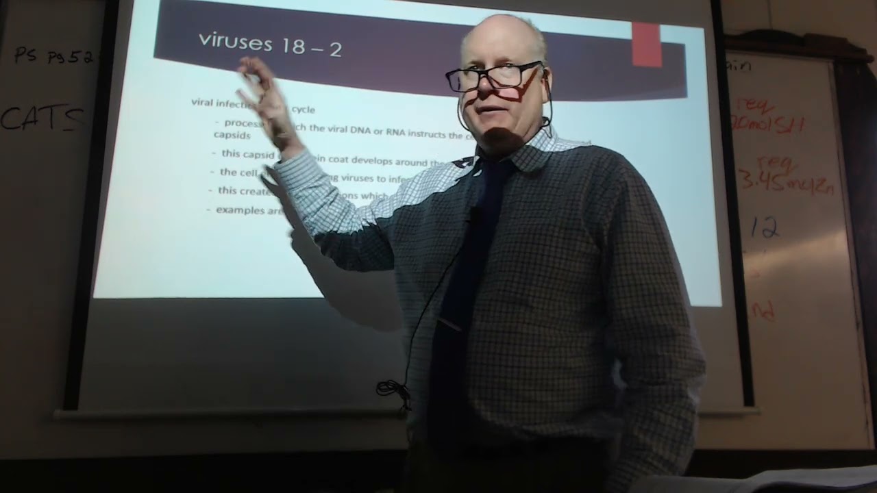 BIOJAN13