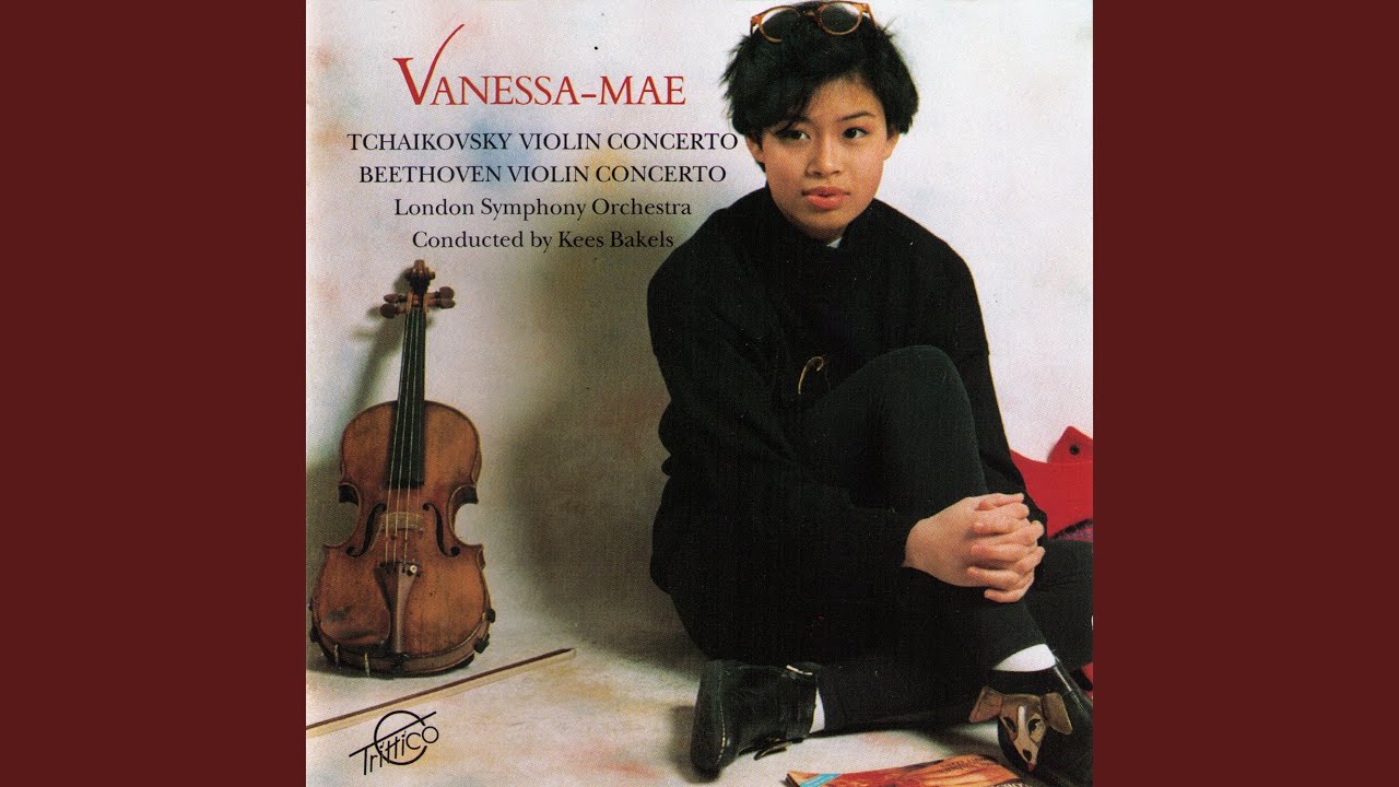 Violin Concerto in D, Op. 35: I. Allegro Moderato - Allegro Giusto