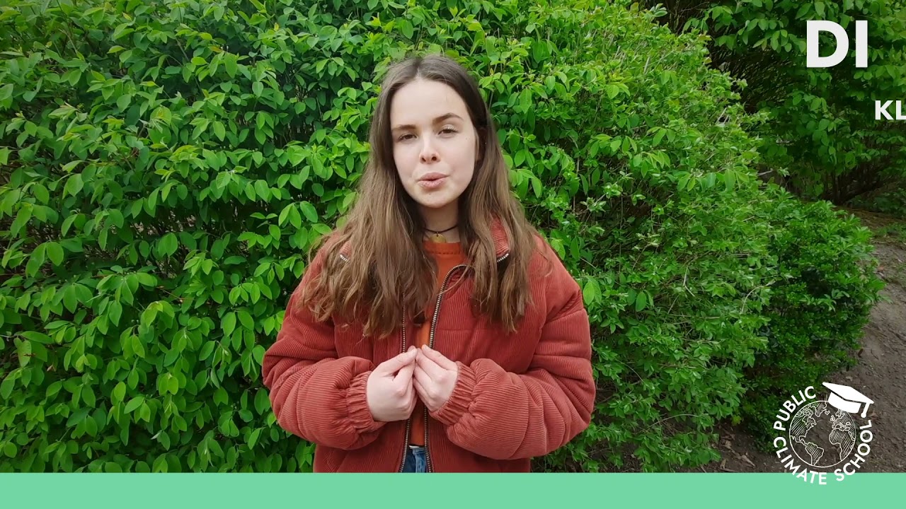 Teaser zu Dienstag &ndash; Schulprogramm der Public Climate School