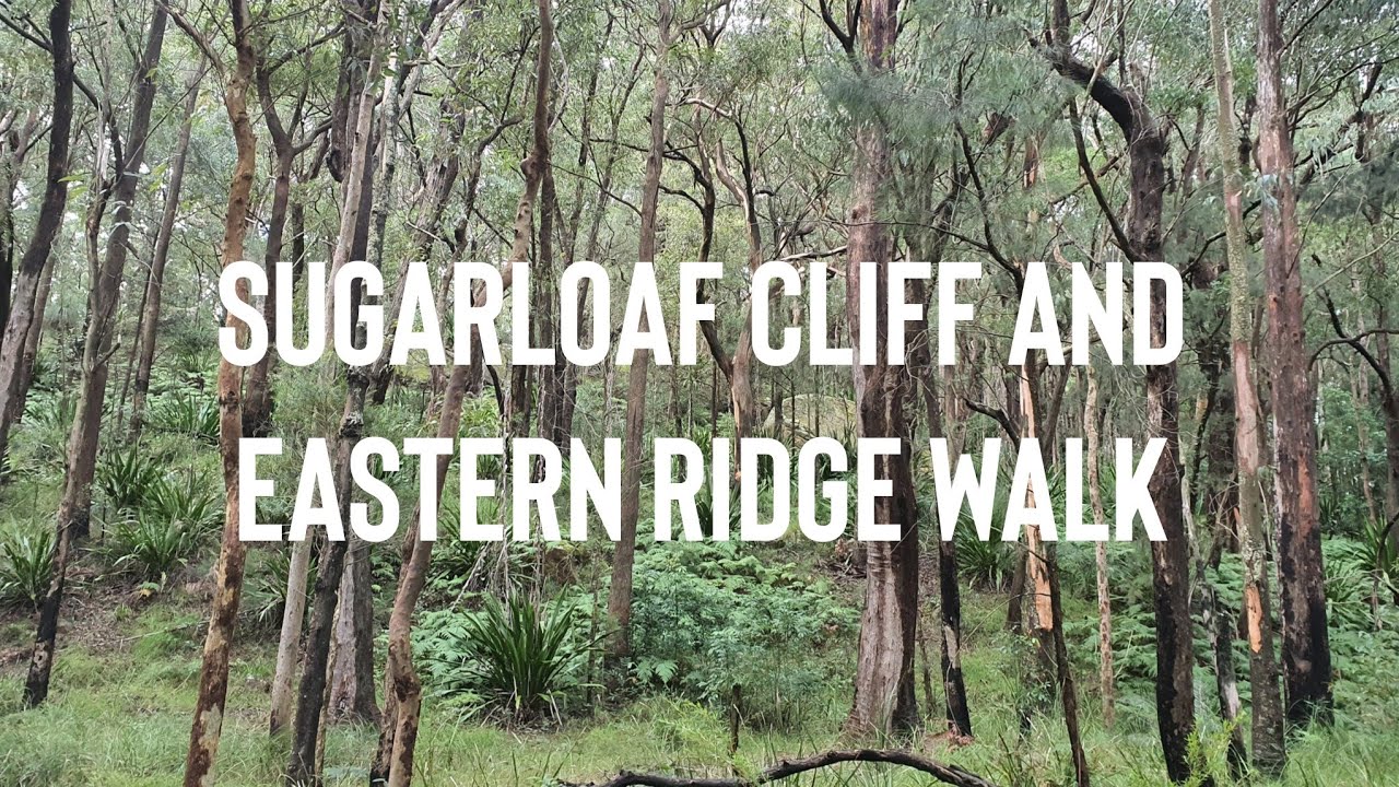 Sugarloaf Cliff and Eastern Ridge walk