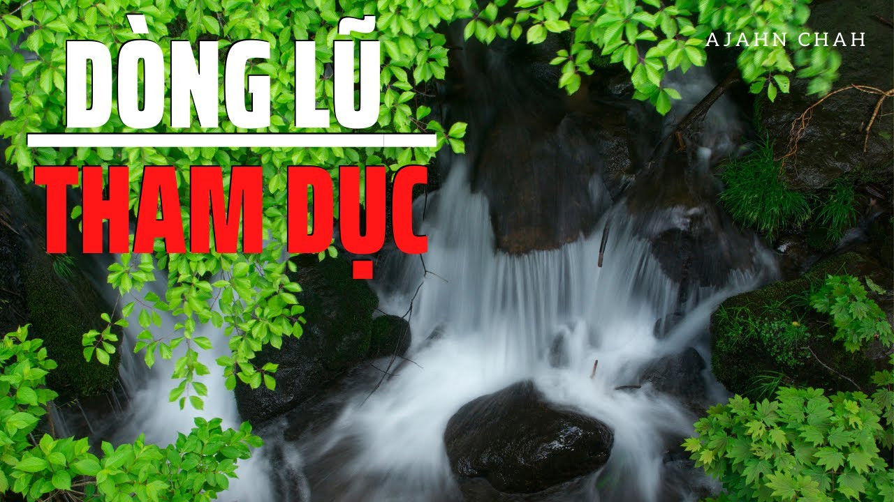 D&ograve;ng lũ của tham dục - Ajahn Chah