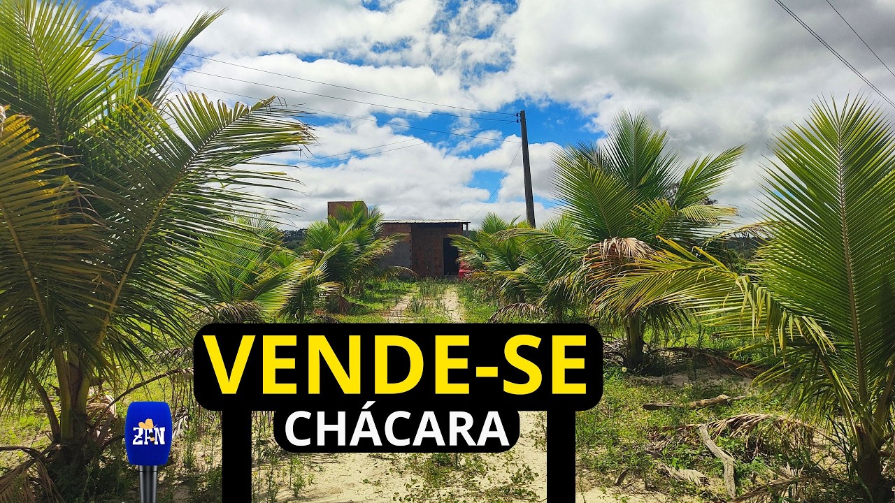 VENDE-SE NO NORDESTE TERRENO COM ÁGUA BOA, FRUTAS E CASA #chacarasavenda