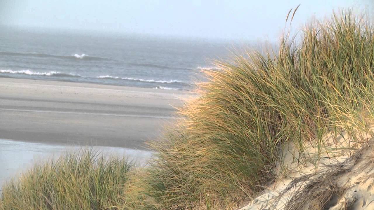 Reise: Amrum im Winter
