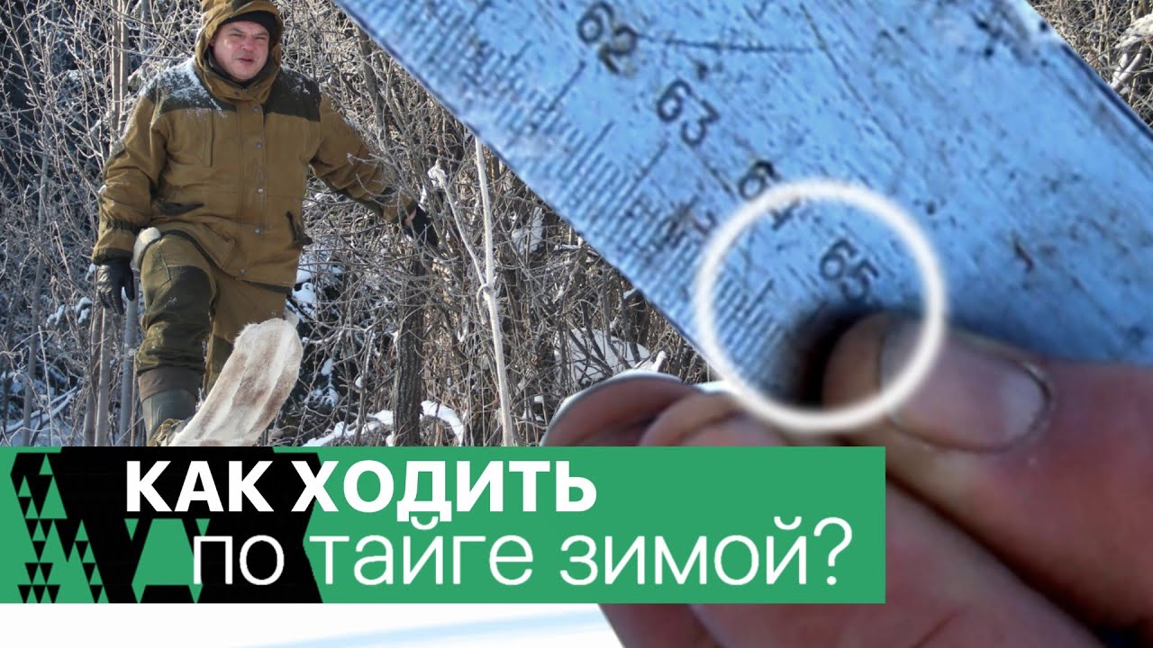Как ходить зимой по тайге? Бюджетная доводка охотничьих лыж.