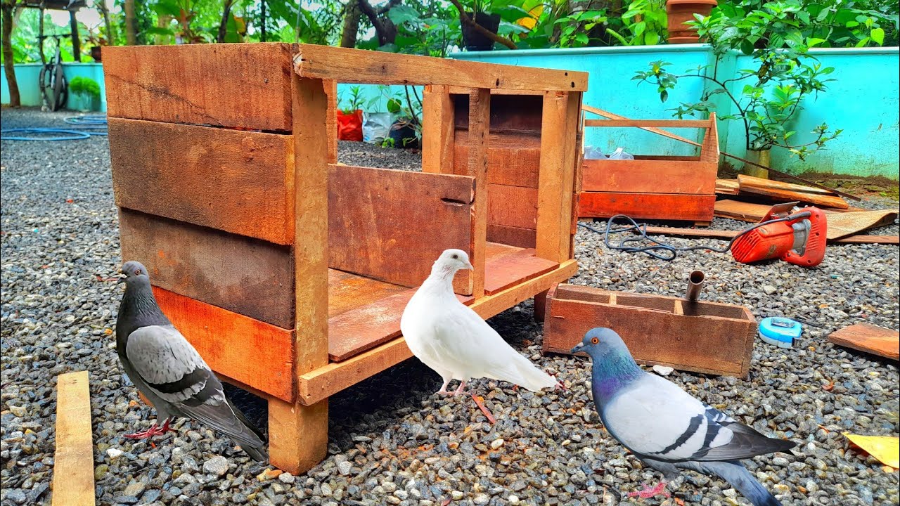 How To Make Pigeon Cage | Simple Way To Make Pigeon House