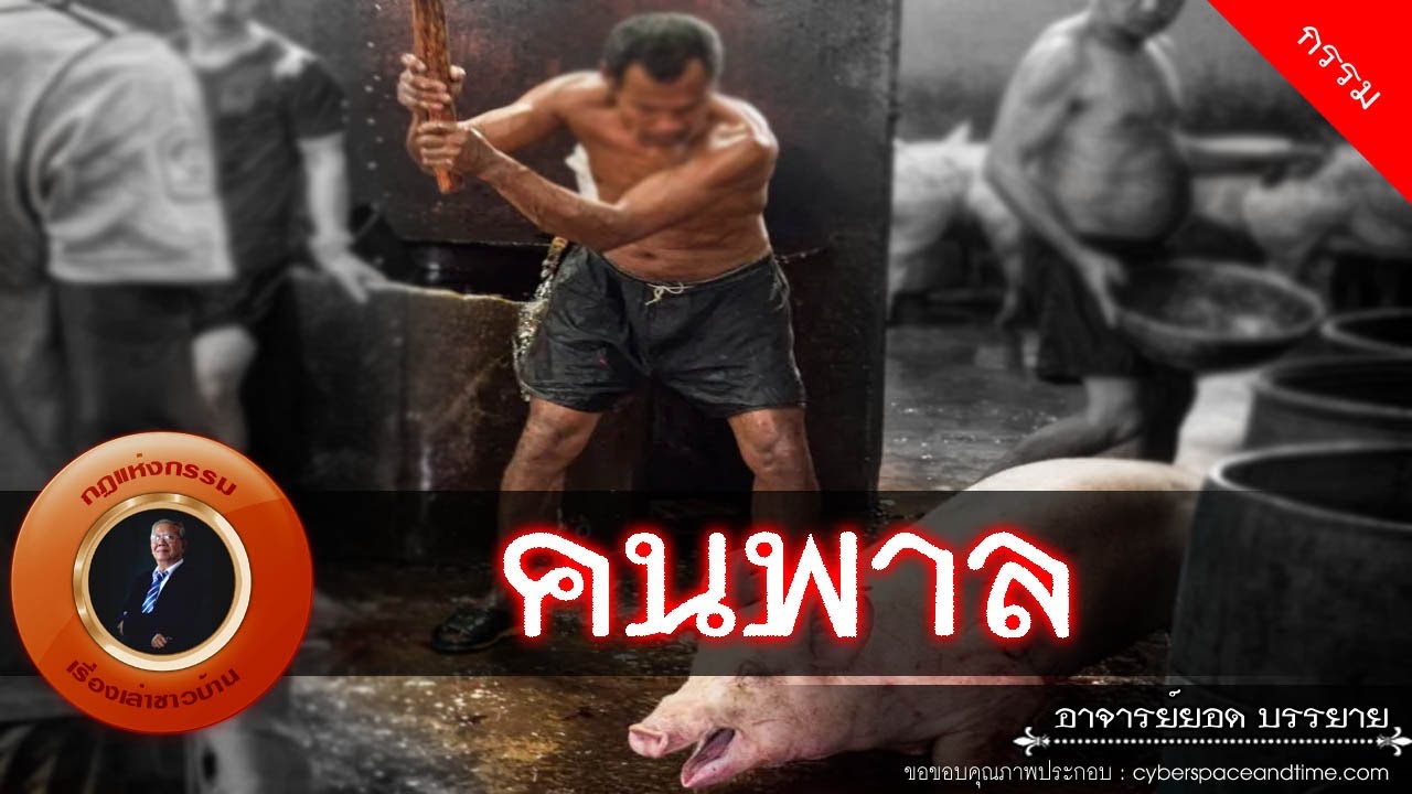 อาจารย์ยอด : คนพาล [กรรม]