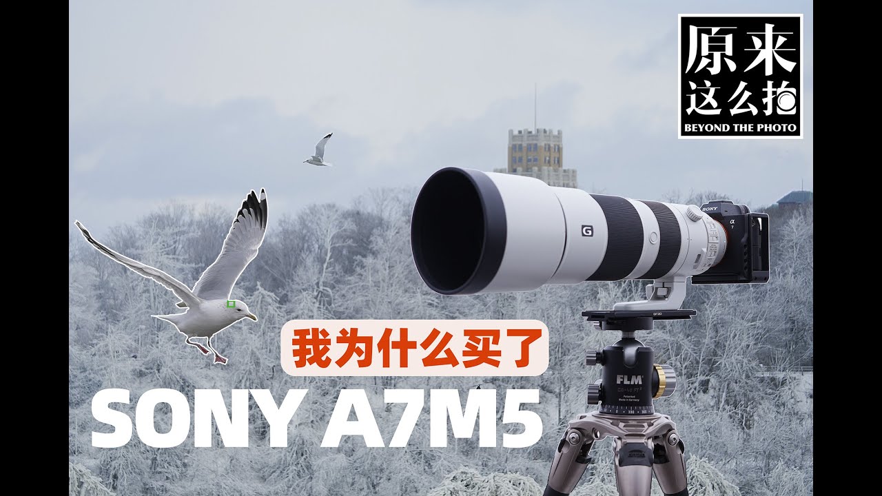 新世代水桶机？我为什么买了索尼A7M5？｜#原来这么毒# 第126集