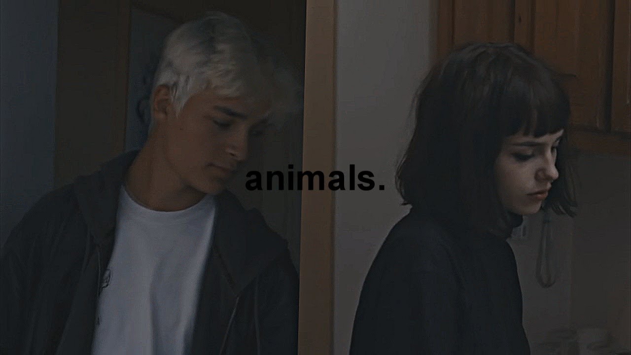 Sander x Noor - animals [wtfock]