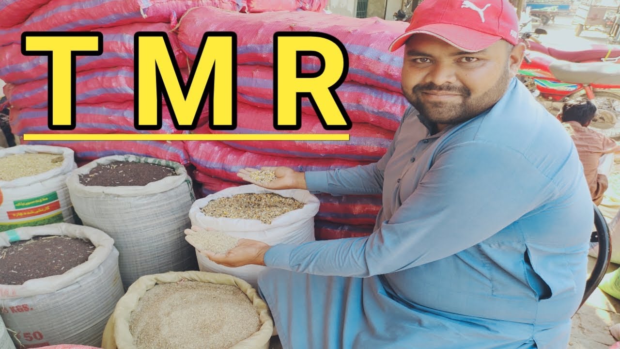 what is tmr feed || tmr feed in Pakistan || ٹی ایم آر کیا ہے|| Animal Informer TV