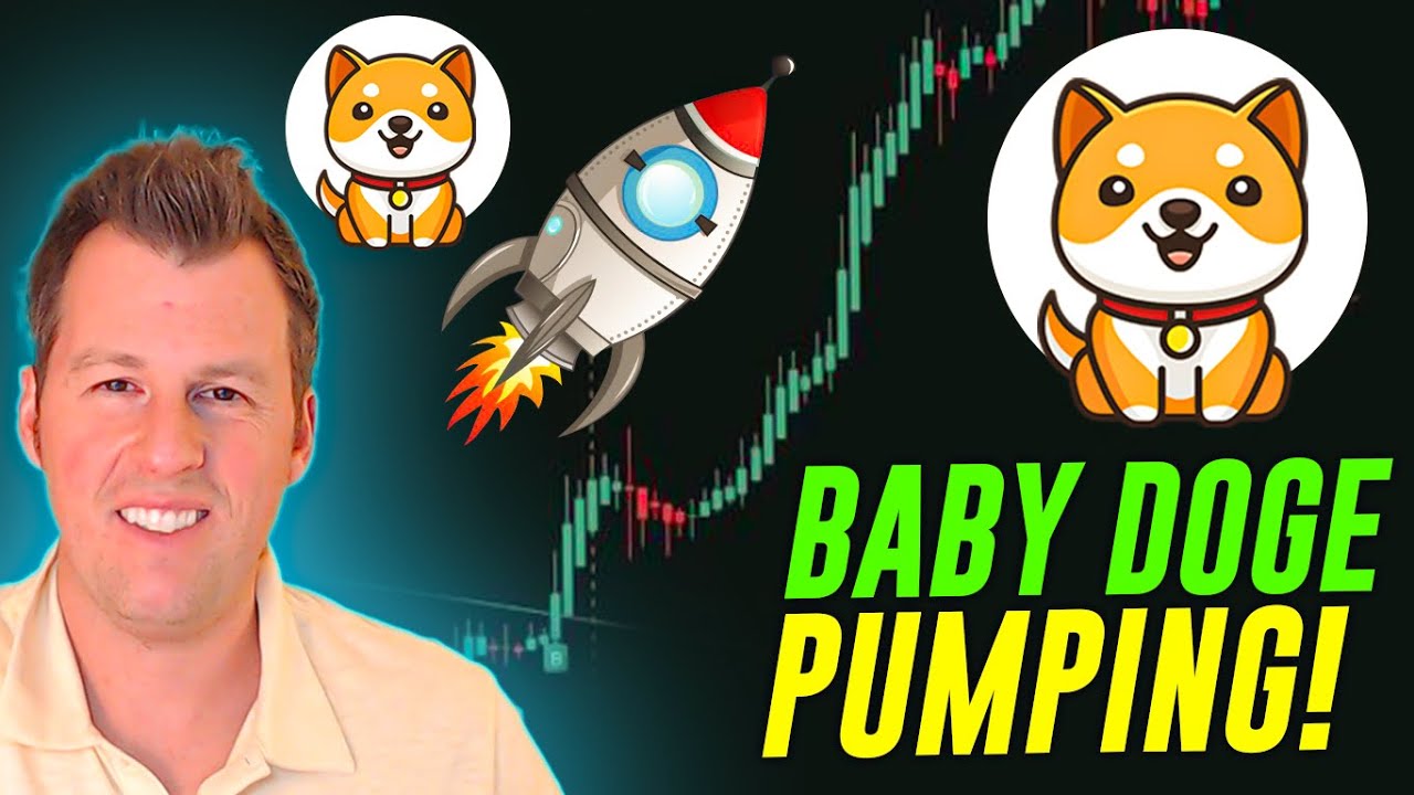 Baby Doge: $280 Million Burned + Pumping!