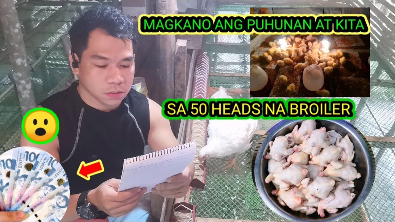 MAGKANO ANG PUHUNAN AT KITA KO SA PAG AALAGA NANG 50 HEADS BROILER CHICKEN |BACKYARD BROİLER FARMİNG