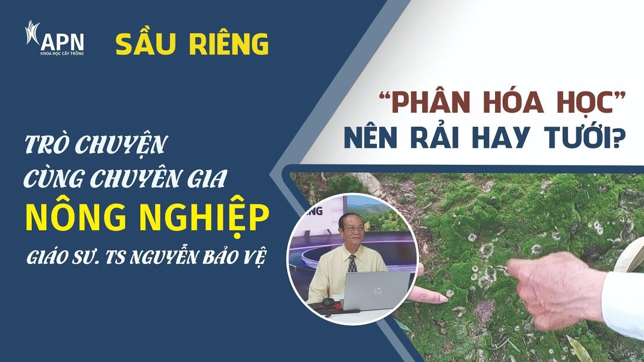 APN - PHÂN HÓA HỌC RẢI VÀ PHA TƯỚI, CÁI NÀO TỐT HƠN?