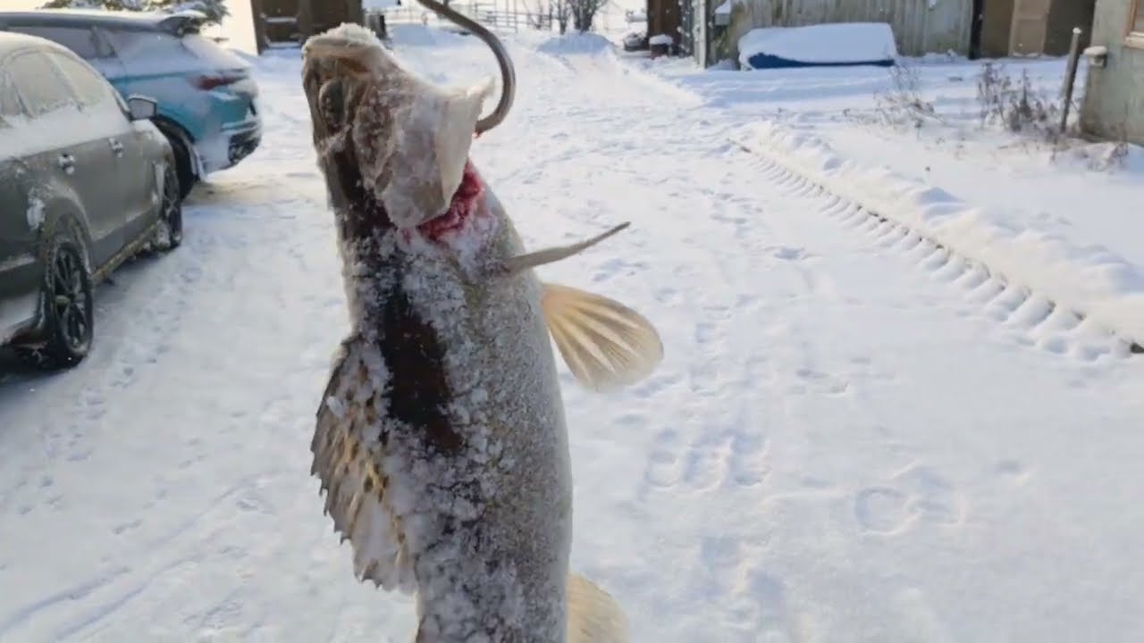 Рыбалка в Новый год на Селигерской Ривьере!!!