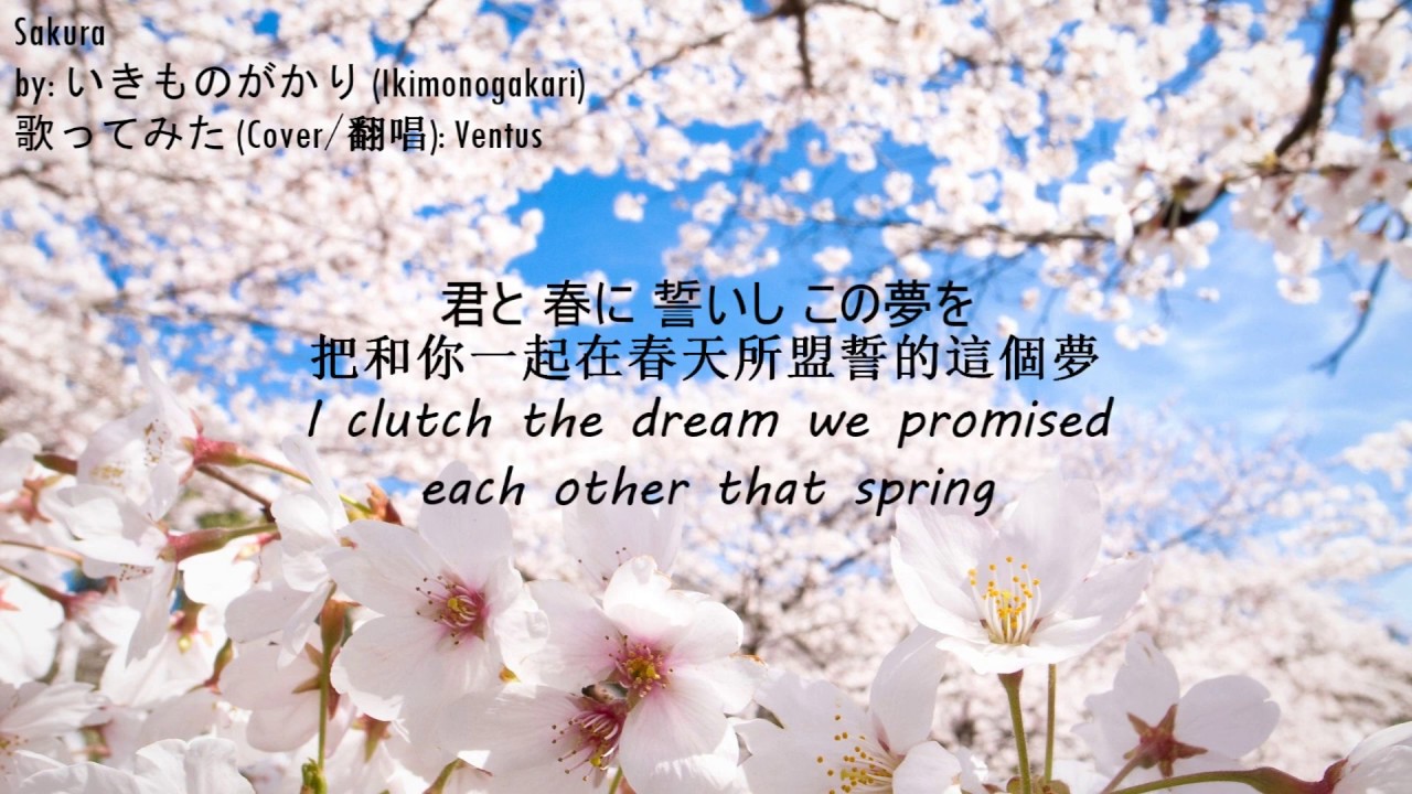 「SAKURA」  いきものがかり [Ikimonogakari] - カヴァー/Cover/翻唱【Cover】Eng/日本語/中文 subs