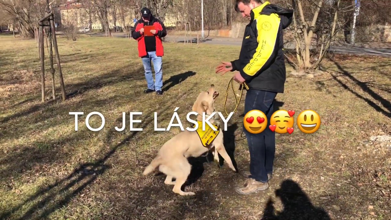 Muf - zkouška asistenčního psa pro kombinovaný handicap