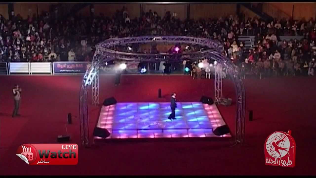 قلنا يا أسامة | طيور الجنة