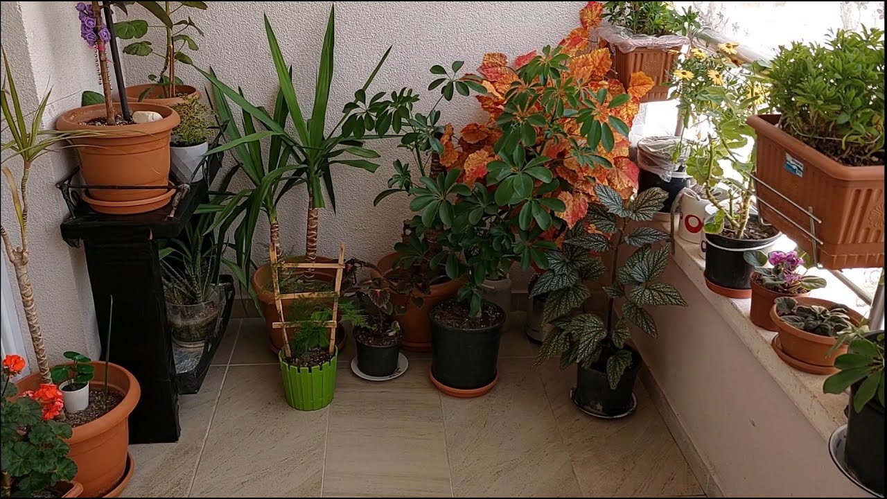Mini~Balkon||Bahçem 💐