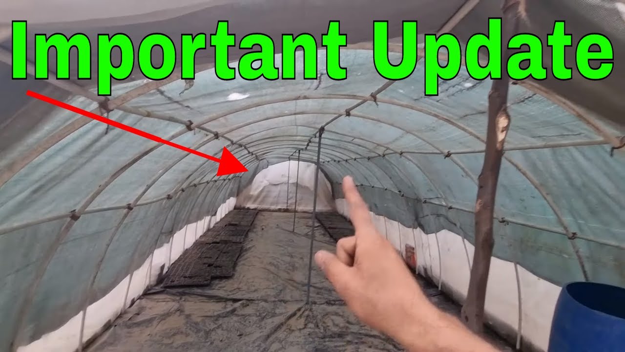 Cheap Poly House | Protective cultivation @OrganicAcre
