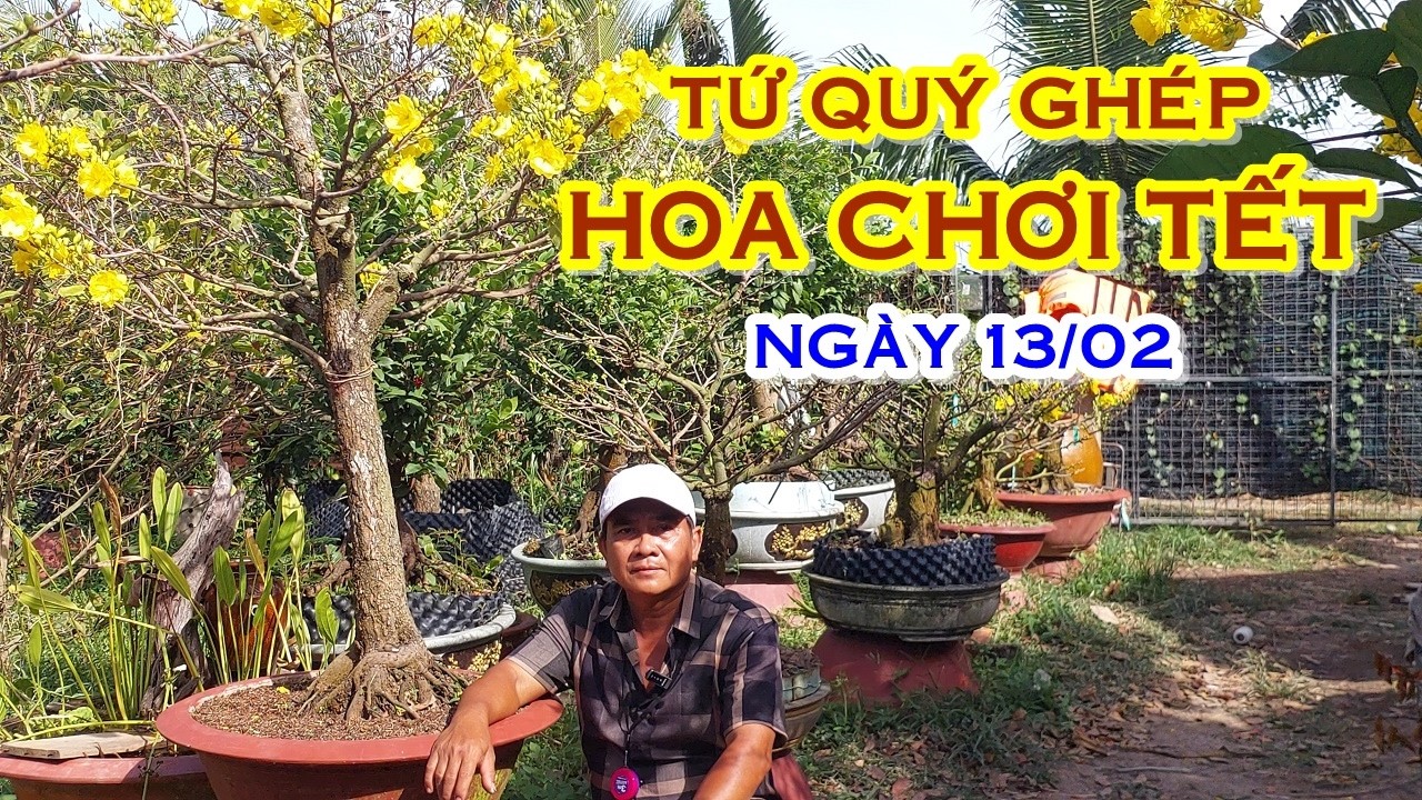 ANH HỢI 📲 O932679868 MAI TỨ QUÝ GHÉP SIÊU BÔNG GIAO LƯU NGÀY 13/02 