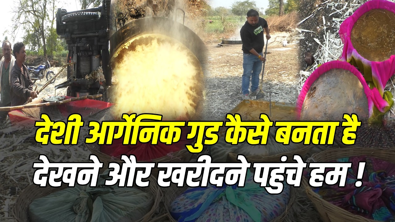 देशी आर्गेनिक गुड कैसे बनता है देखने और खरीदने पहुंचे हम ! #cb_vlog