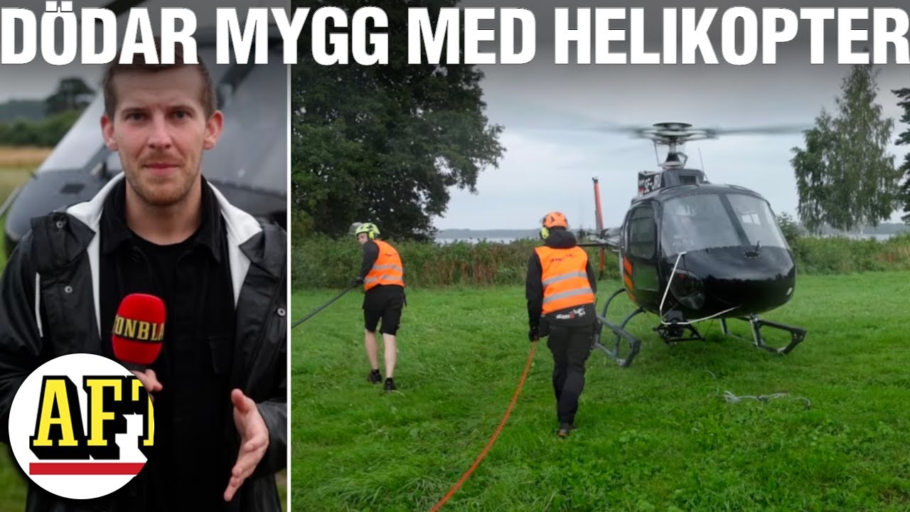 Jagar mygg med helikopter: 