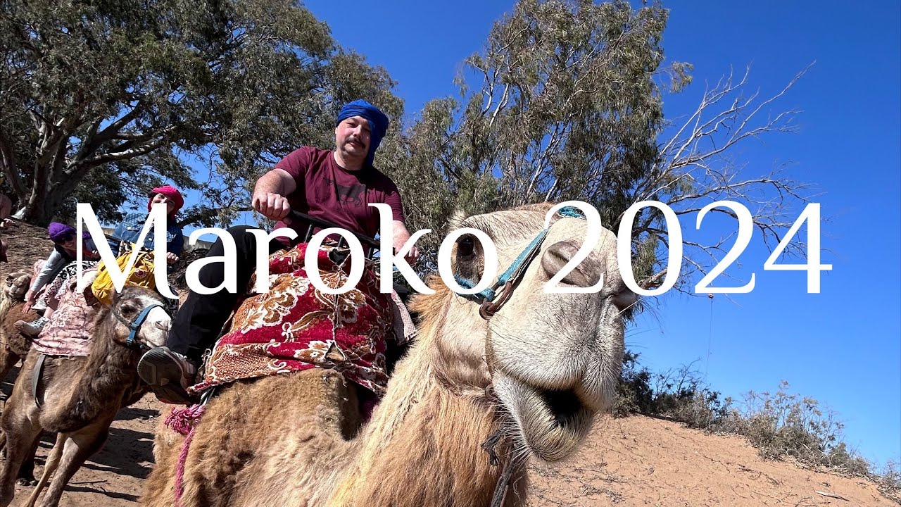 Dovolená v Maroku 2024 #dovolená #maroko #travel