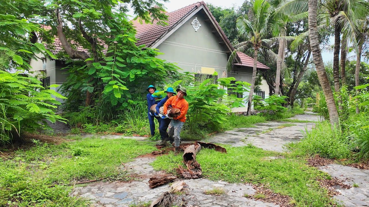 From Jungle to Paradise – The Shocking Transformation of a Million-Dollar Villa