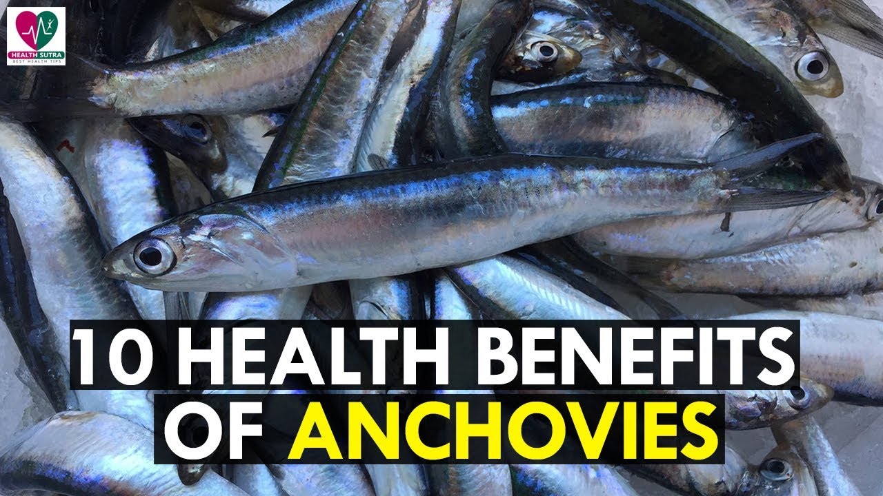 10 Amazing Health Benefits of Anchovies