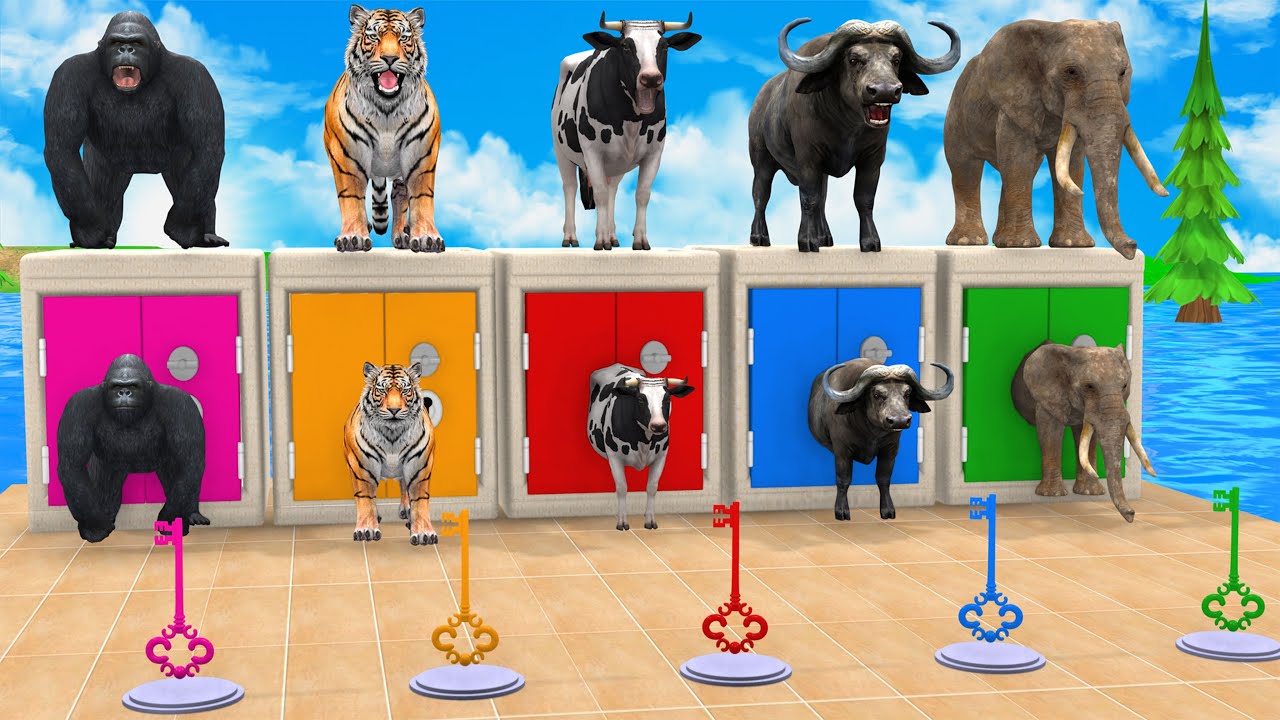 Longest Animal Slide Ever - Funny 3D Animal Game