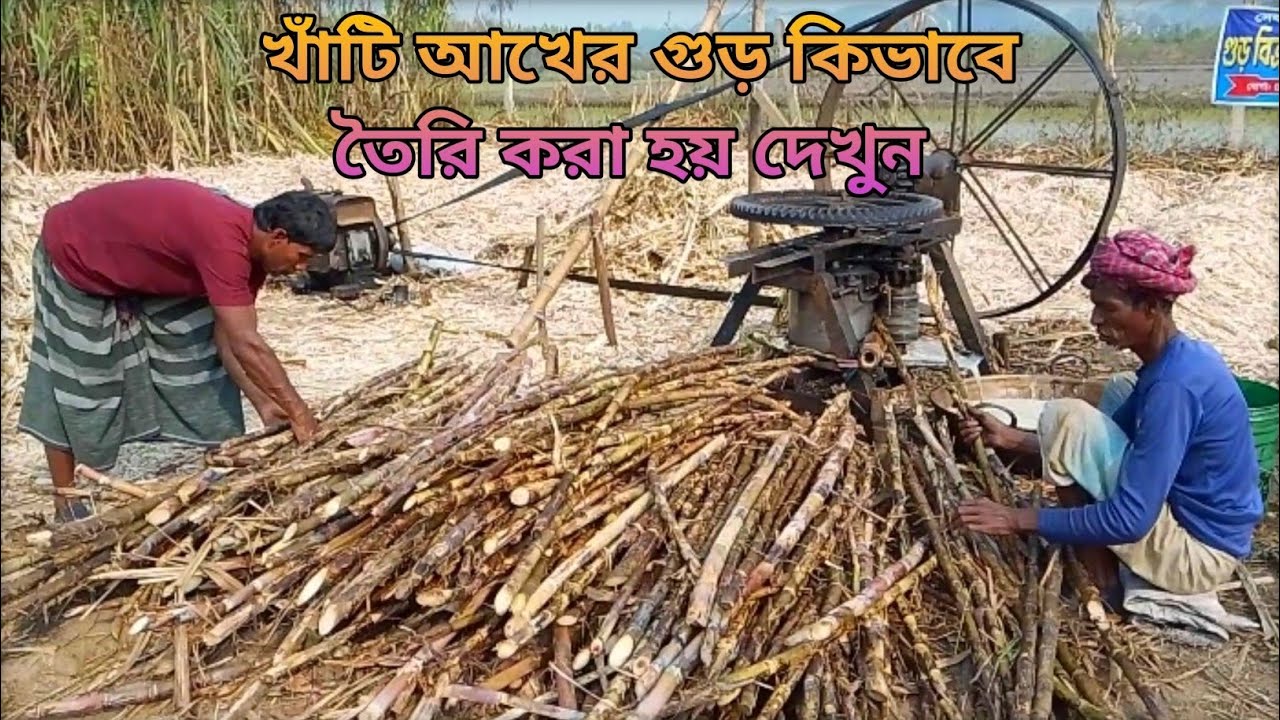 আখের গুড় তৈরির প্রক্রিয়া দেখুন।#agriculture #farming #villagelife #lifestyle 