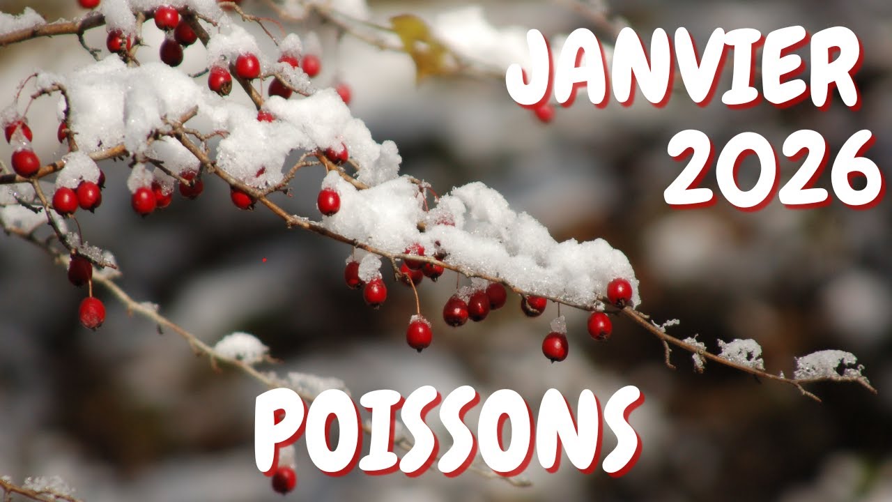 ♓️ POISSONS ♓️ JANVIER 2026 🔮 Quand le timing divin intervient pour avoir cequ&rsquo;on d&eacute;sire 🧿