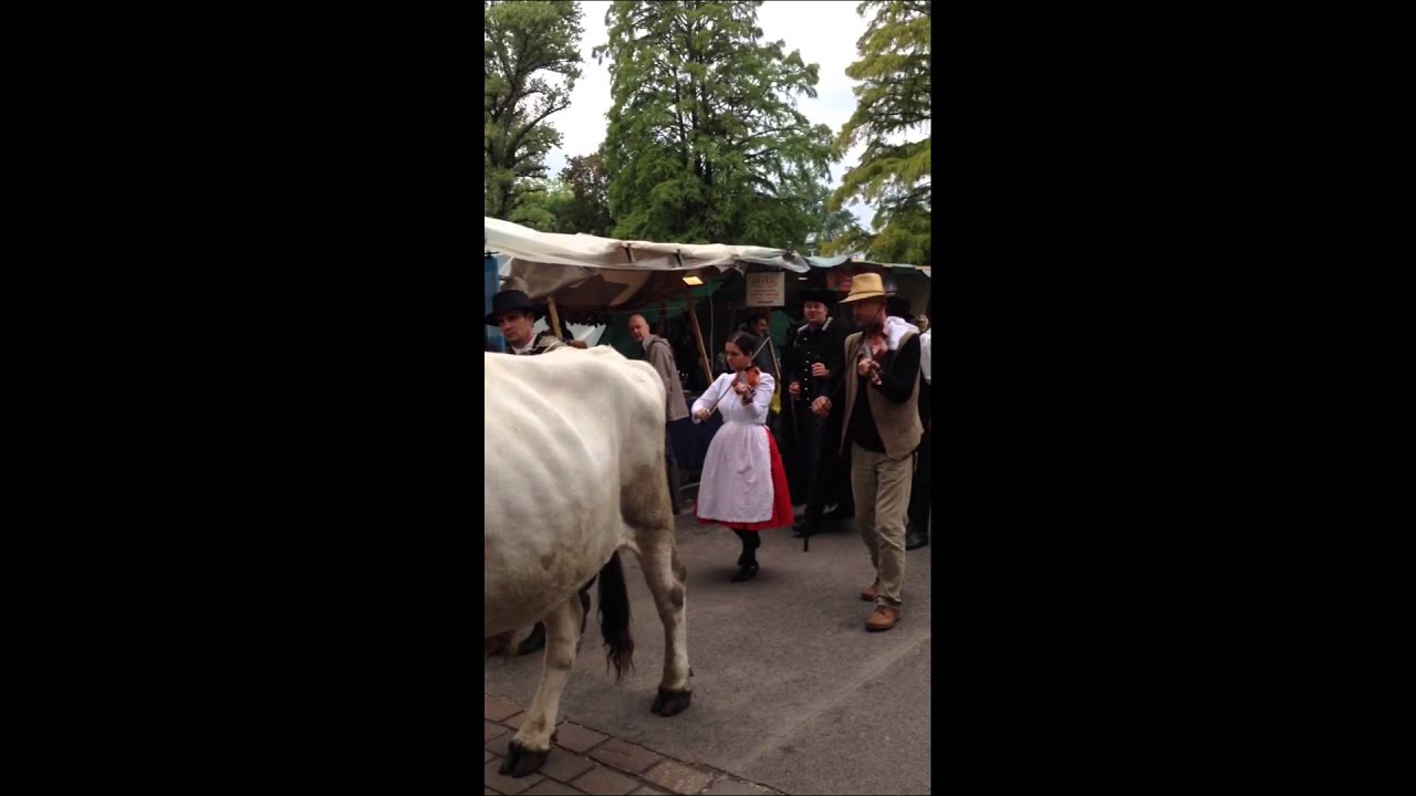 Traditional Hungarian Folk Song