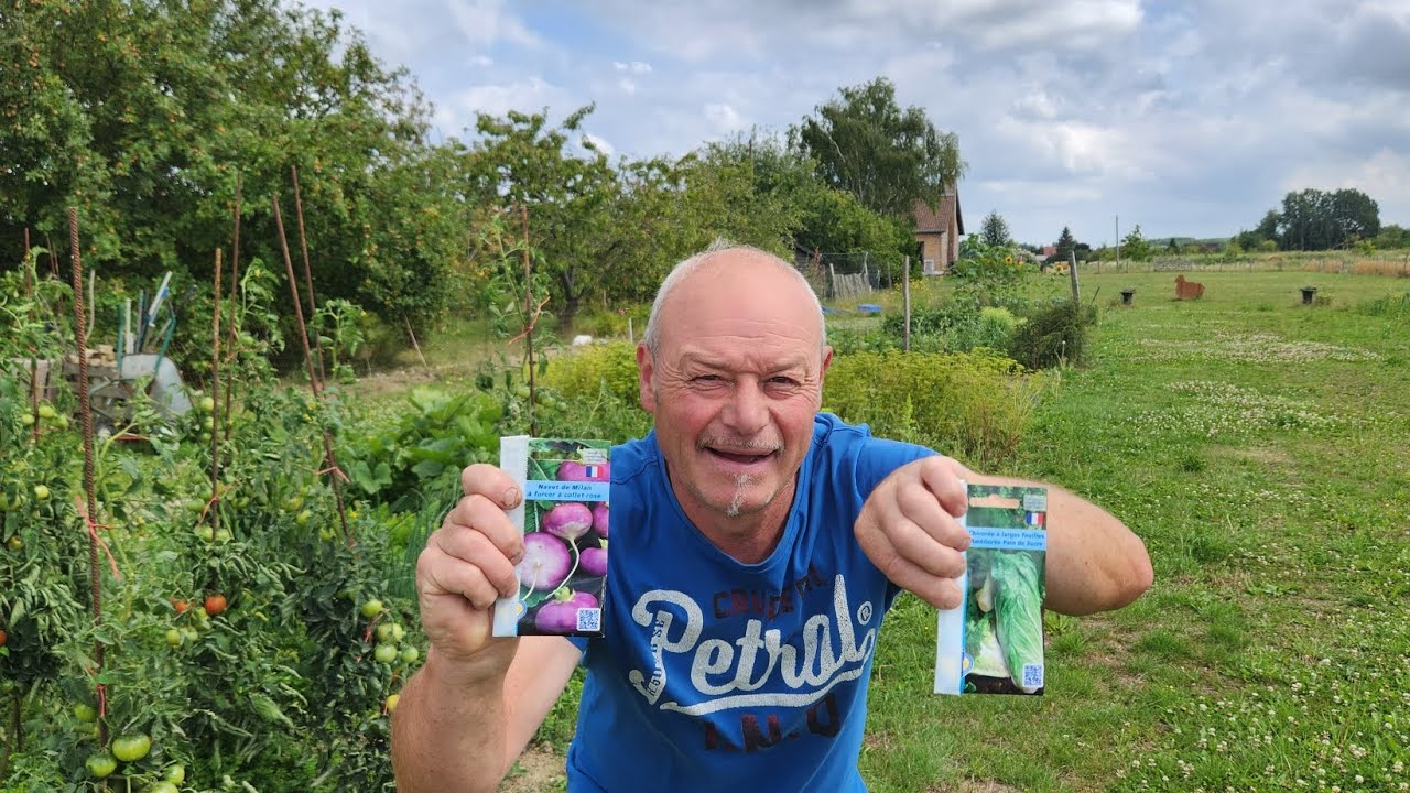4 aout au jardin  ,mon travail  pour la journée  au potager  !