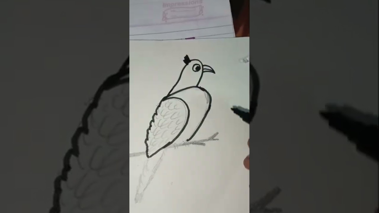 draw a picture of Bird#shorts #youtubeshorts #shortsvideo #drawing #drawapicture #pictures