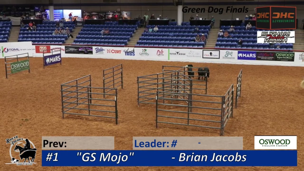 2022 Rodear America Cow Dog Association National Finals