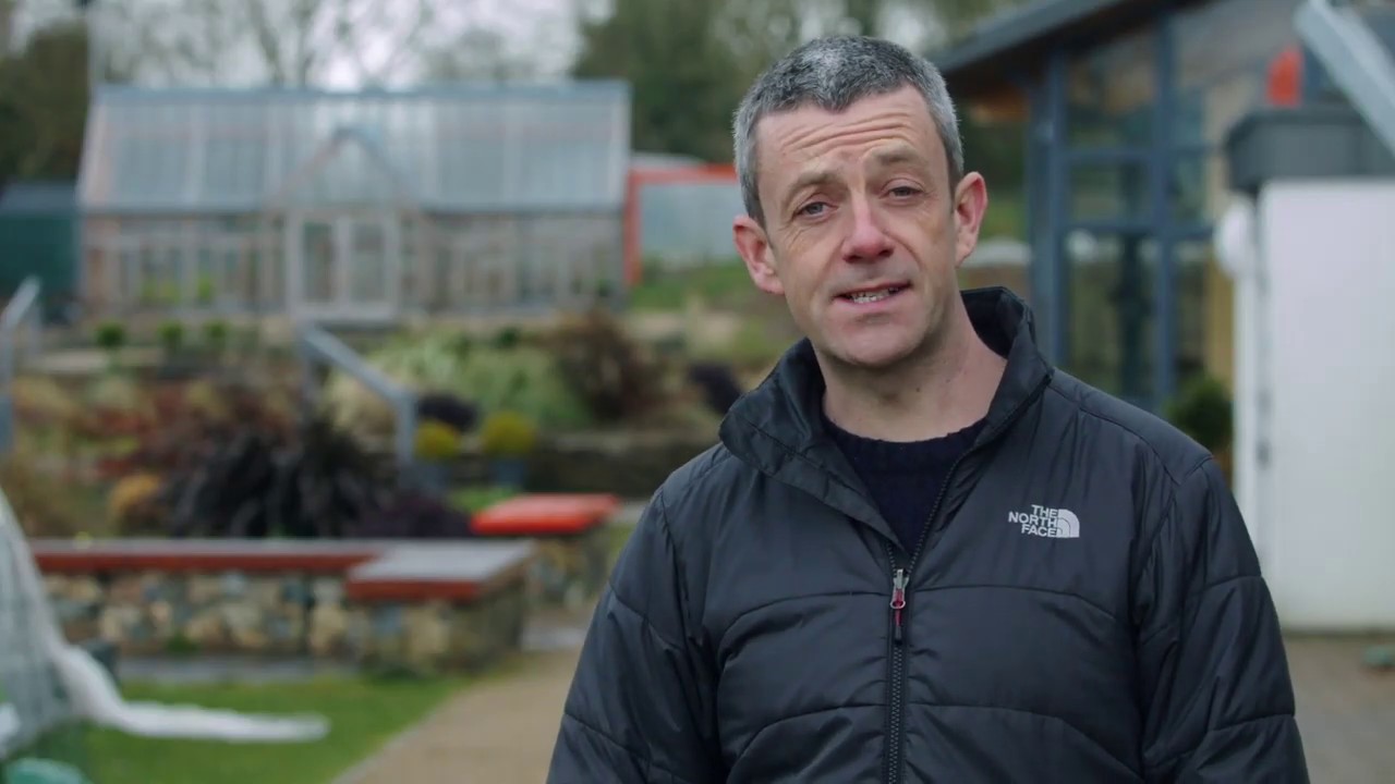 Polytunnel Tips