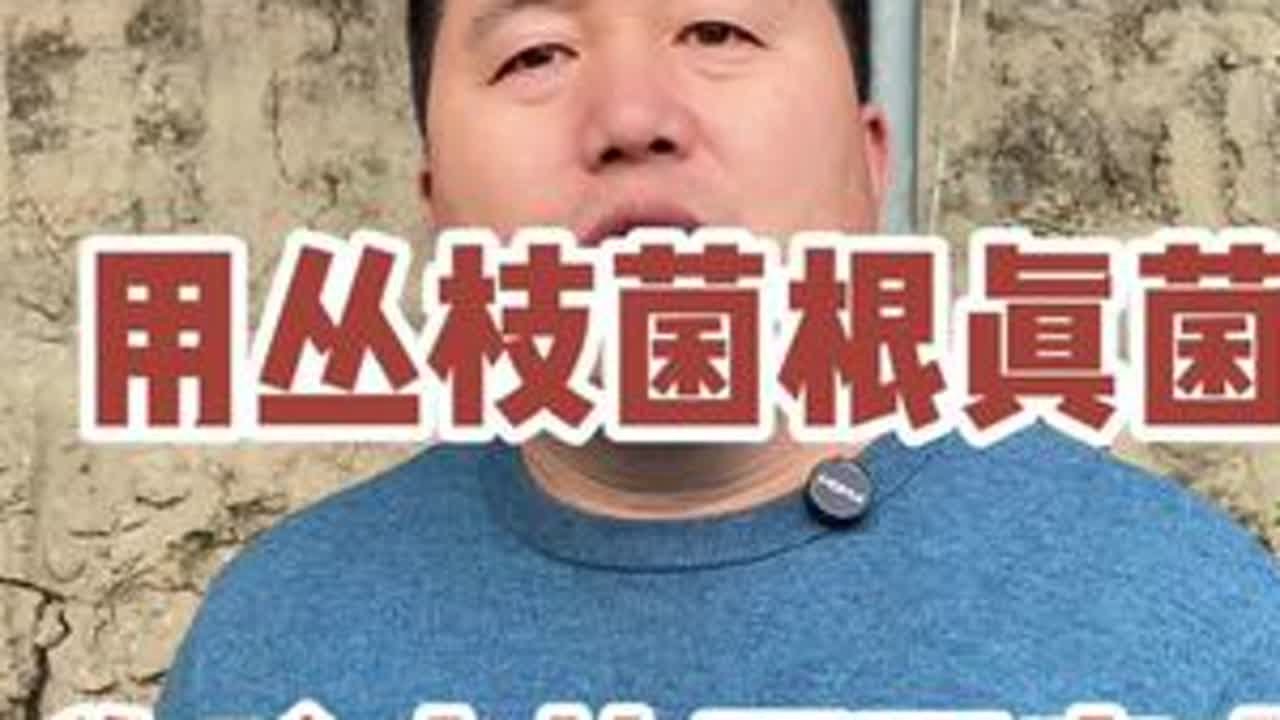 用丛枝菌根真菌，为啥少施肥还高产？#菌根真菌 #丛枝菌根真菌 #内生菌 #增产