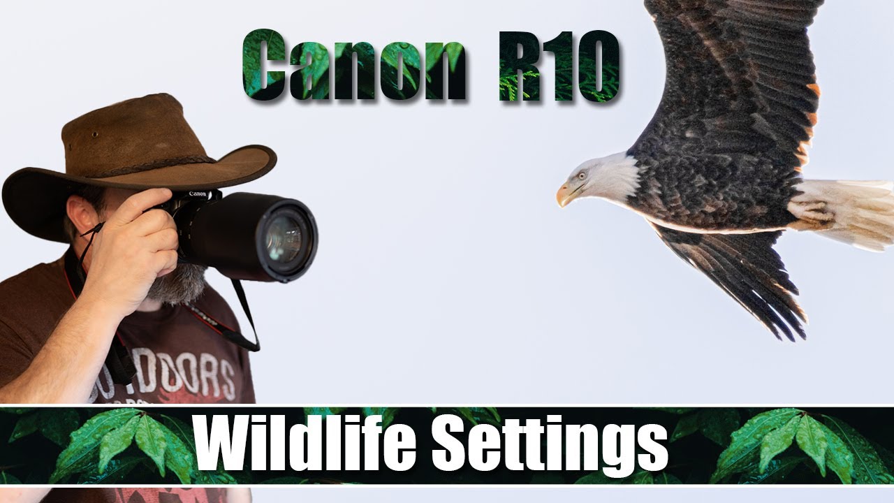 Настройки камеры Canon R10 Wildlife / Настройка — Полное пошаговое руководство