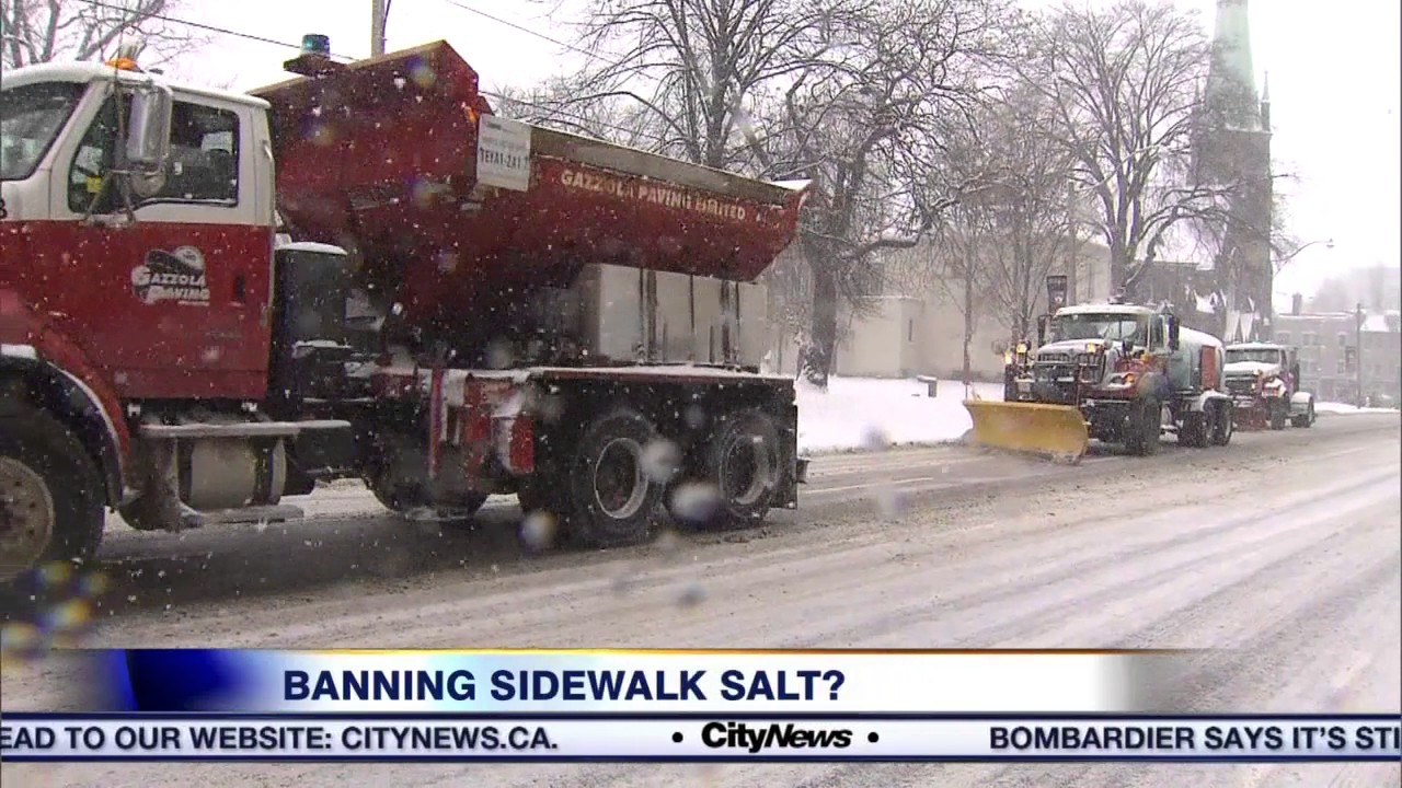 Video: Is it time to ban the use of sidewalk salt?