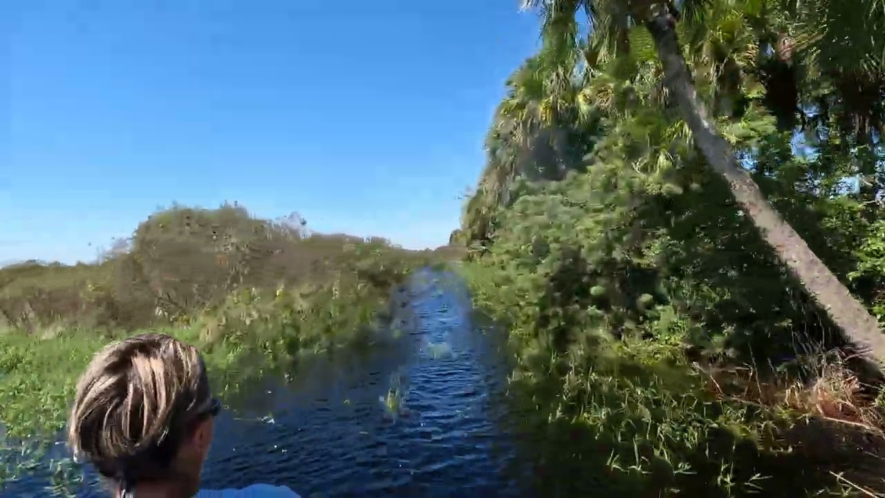 AIRBOAT Ride from Bird Tower to Lone Cabbage Fish Camp