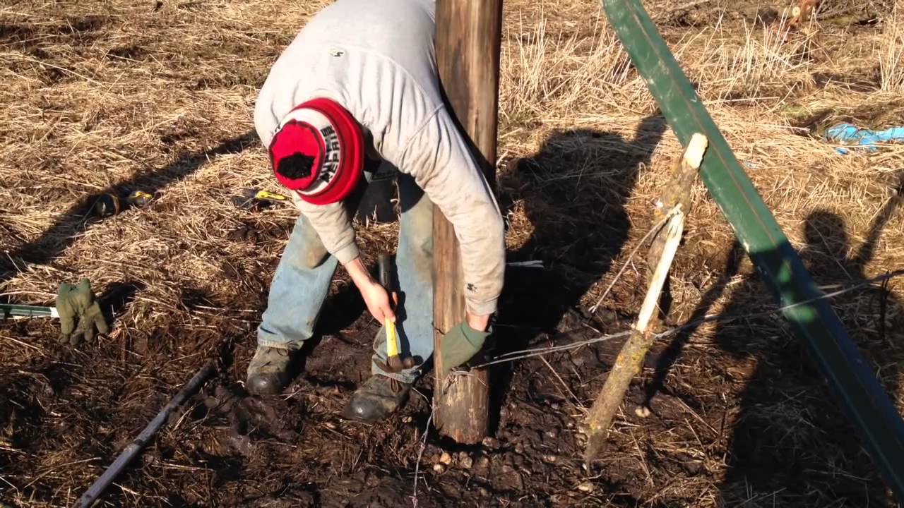 How to Build a Barbed Wire Fence in 10 Easy Steps (farmcards)