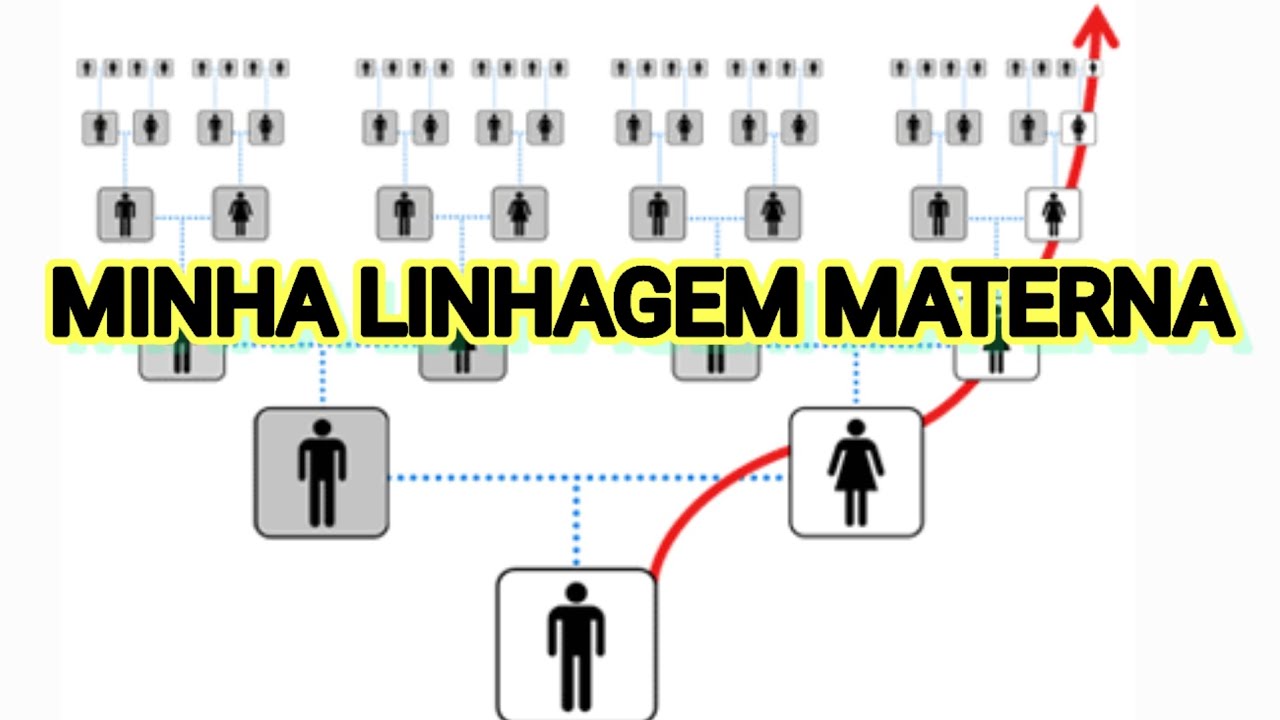 ORIGEM MATERNA PELO DNA MITOCONDRIAL.