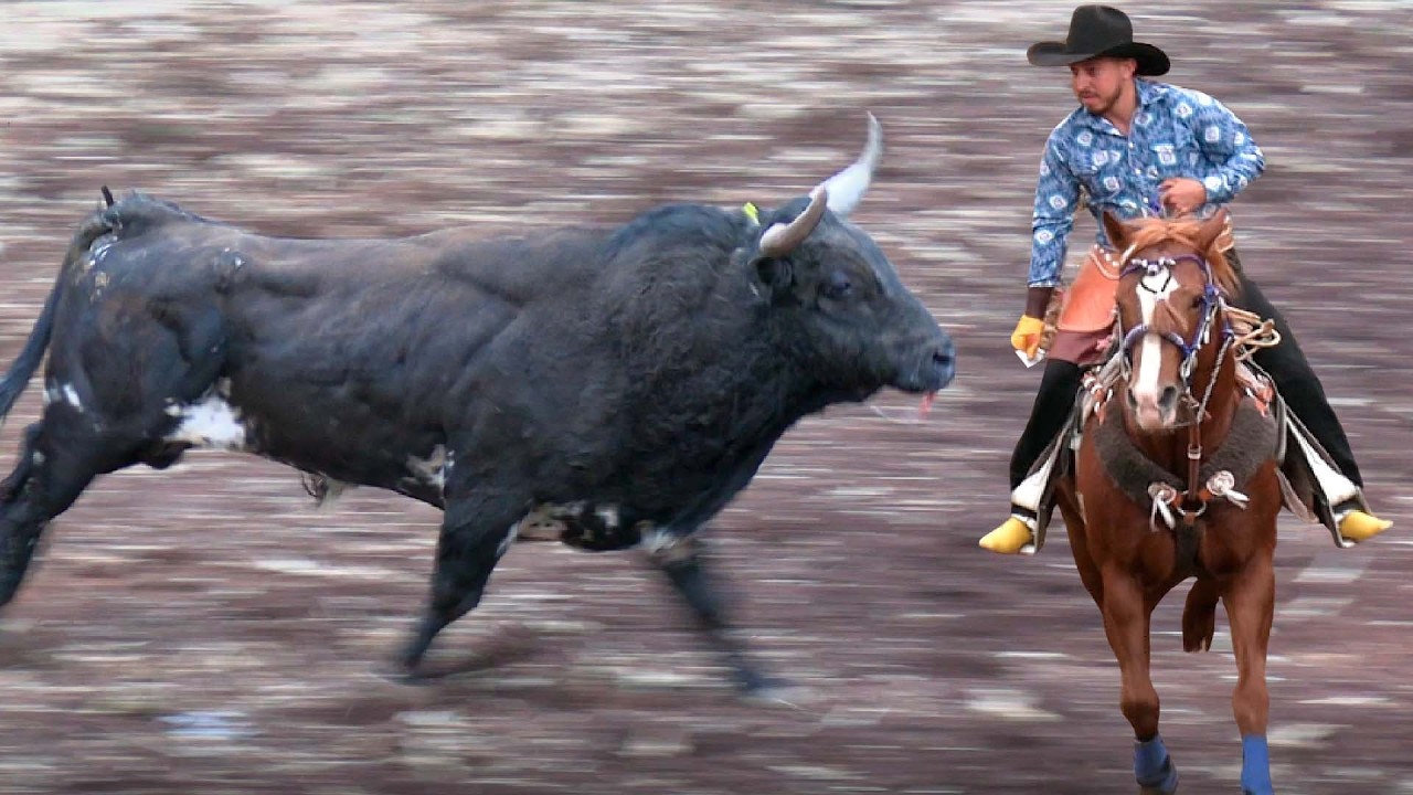 !! JARIPEO DE TOROS BRAVOS BUSCA CABALLOS ¡¡ EN EL DESMONTE MICHOACAN 28 DE OCTUBRE DEL 2025