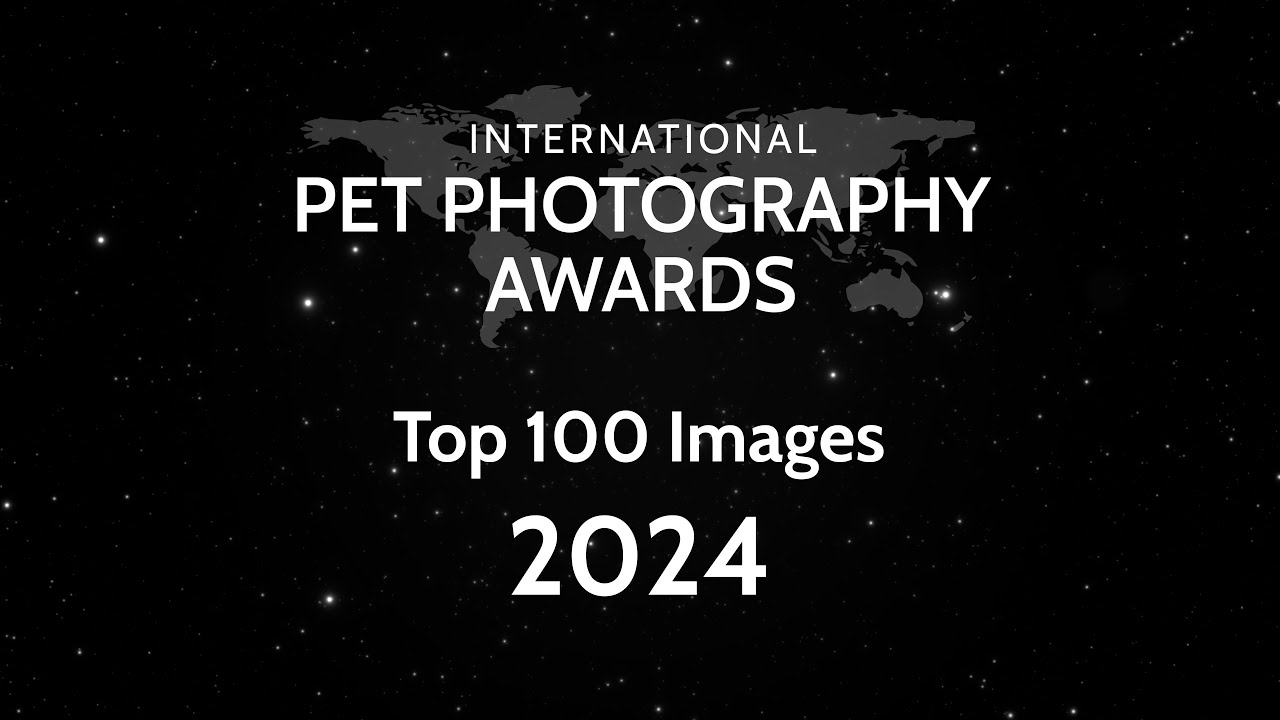 The Best Pet Photos of 2024